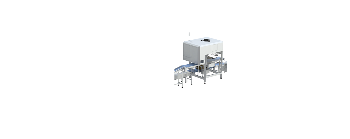 Automated Packing Solution with premade pouch packing machine