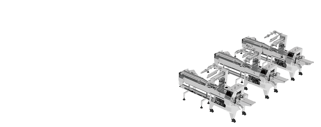 Biscuit Bakery food packing machine.1