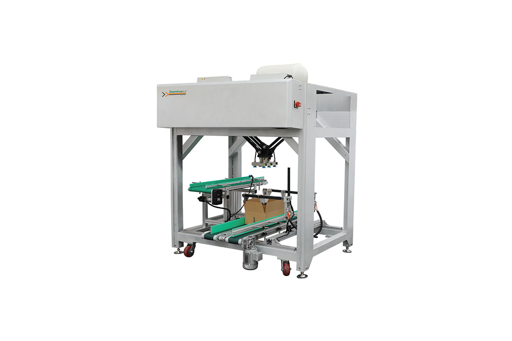 case packing machine